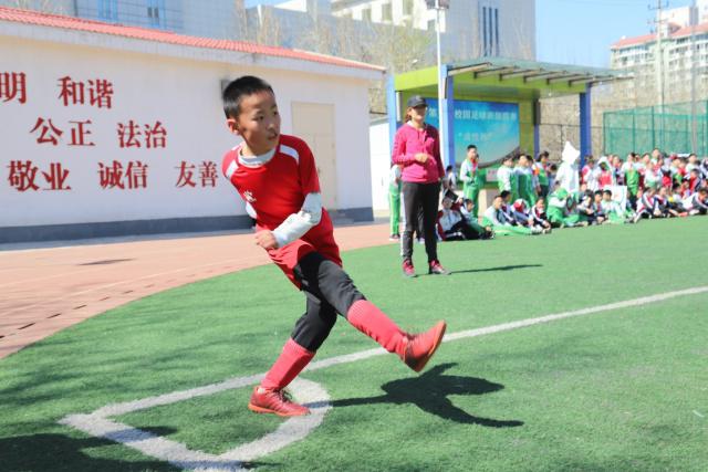 咪咕视频免费直播2026世界杯，小红书首次参战引发热议